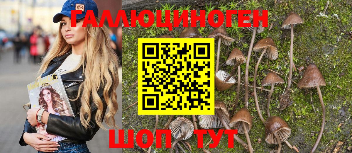 Псилоцибиновые грибы ЛСД Печора