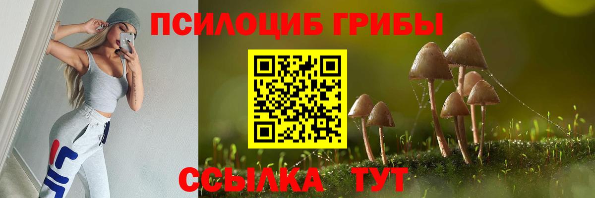 Печора  Галлюциногенные грибы ЛСД  Вход с VPN 